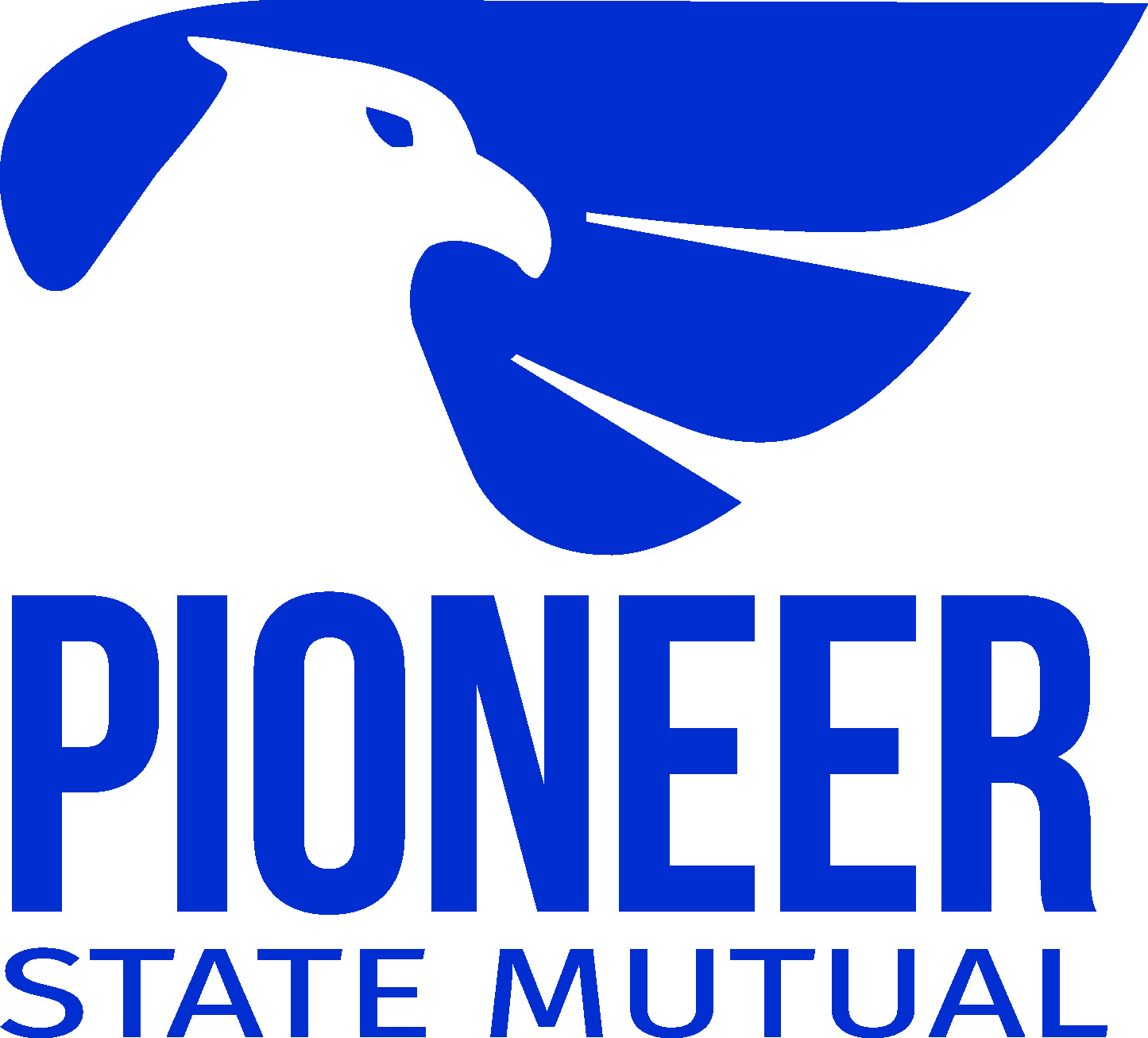 Pioneer State Mutual